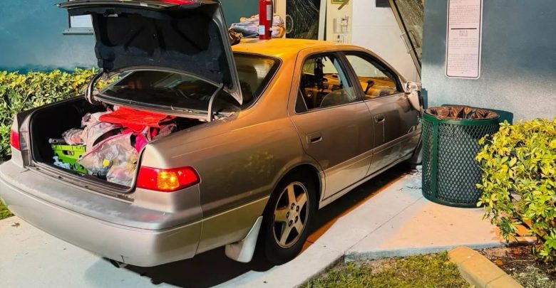 Hogy jön össze a Toyota Camry, a börtön és a gumikígyó? Hát így!